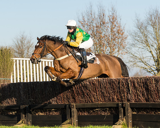 Race 2 - PPORA Novice Riders  (117 of 205)