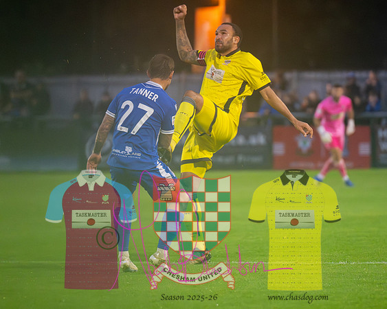 Totton 1 v 1 Chesham United (64 of 282)