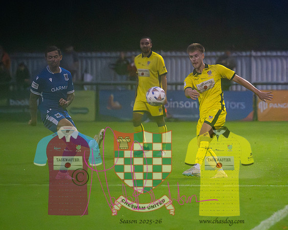 Totton 1 v 1 Chesham United (84 of 282)