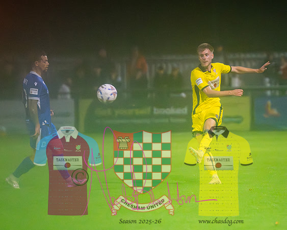 Totton 1 v 1 Chesham United (96 of 282)