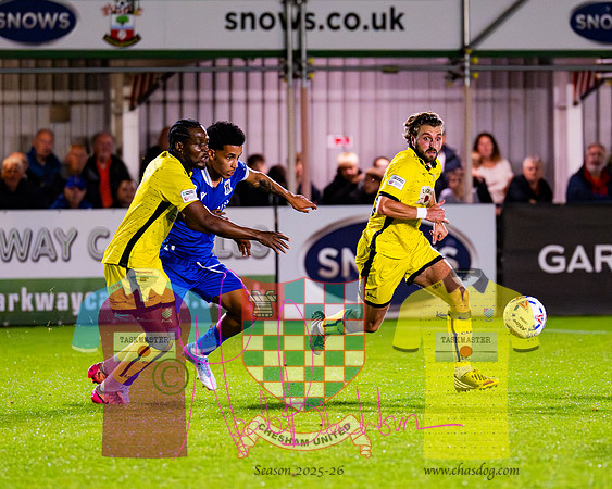 Totton 1 v 1 Chesham United (154 of 282)