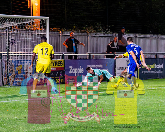 Totton 1 v 1 Chesham United (168 of 282)