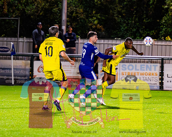 Totton 1 v 1 Chesham United (264 of 282)