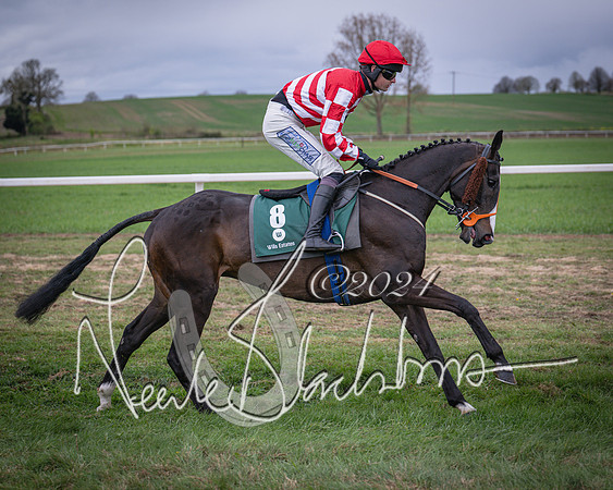 Race 6 - The Restricted Race (22 of 101)