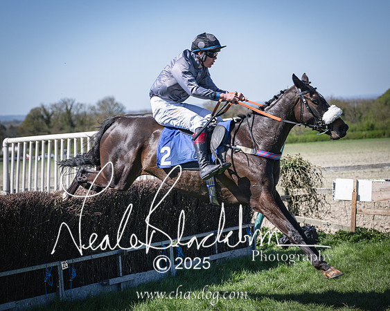 Race 2 - The Maiden (93 of 118)