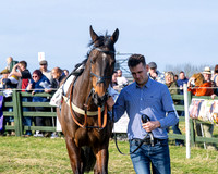 Race 5 - PPORA Five years and over (20 of 163)