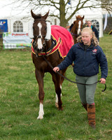 Race 1 - AGA Confined (4 of 126).jpg
