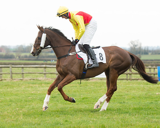 Race 1 - AGA Confined (36 of 126).jpg