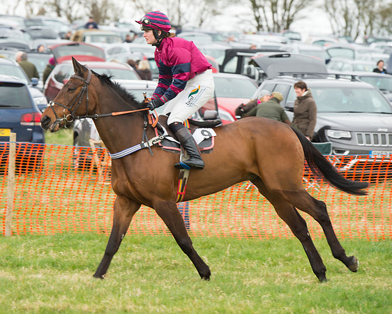 Race 2 - Ladies Open (4 of 93).jpg