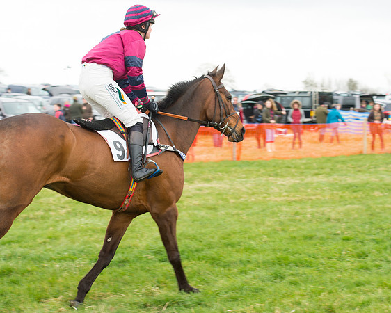 Race 2 - Ladies Open (13 of 93).jpg