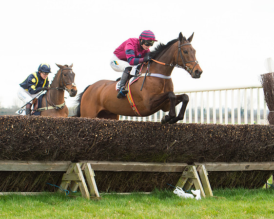 Race 2 - Ladies Open (29 of 93).jpg
