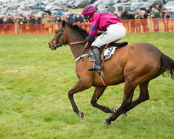 Race 2 - Ladies Open (61 of 93).jpg