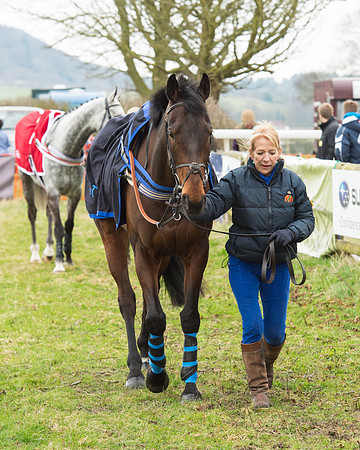 Race 5 - Open Maiden (3 of 190).jpg