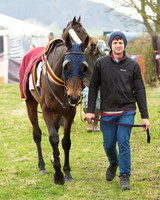 Race 5 - Open Maiden (11 of 190).jpg