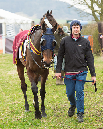 Race 5 - Open Maiden (11 of 190).jpg