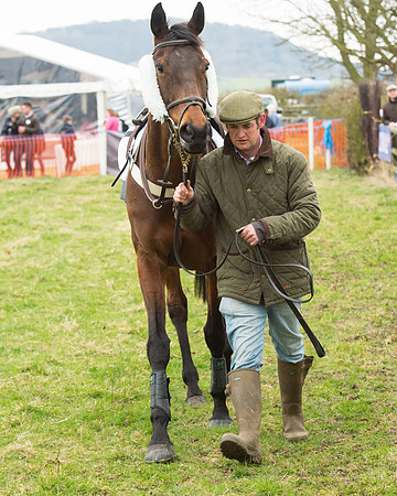 Race 5 - Open Maiden (13 of 190).jpg