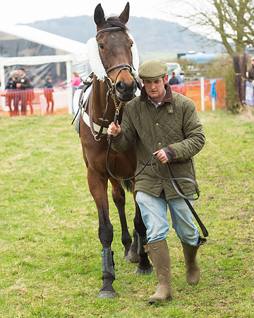 Race 5 - Open Maiden (14 of 190).jpg