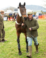Race 5 - Open Maiden (15 of 190).jpg