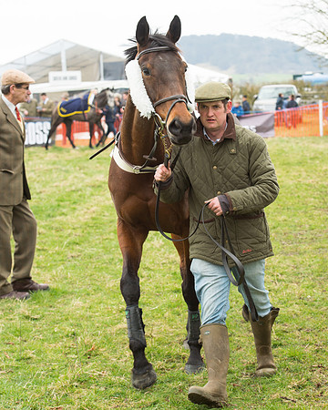 Race 5 - Open Maiden (15 of 190).jpg