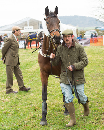 Race 5 - Open Maiden (16 of 190).jpg