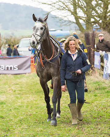 Race 5 - Open Maiden (20 of 190).jpg