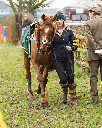 Race 5 - Open Maiden (24 of 190).jpg
