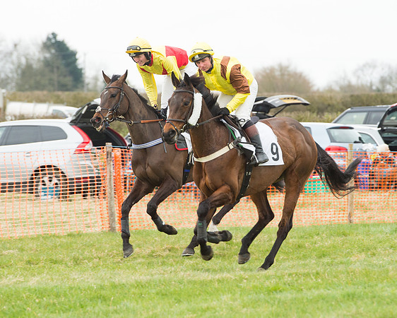 Race 5 - Open Maiden (28 of 190).jpg