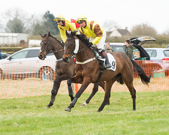 Race 5 - Open Maiden (29 of 190).jpg