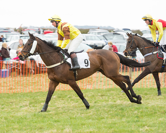 Race 5 - Open Maiden (30 of 190).jpg