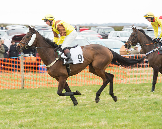 Race 5 - Open Maiden (31 of 190).jpg