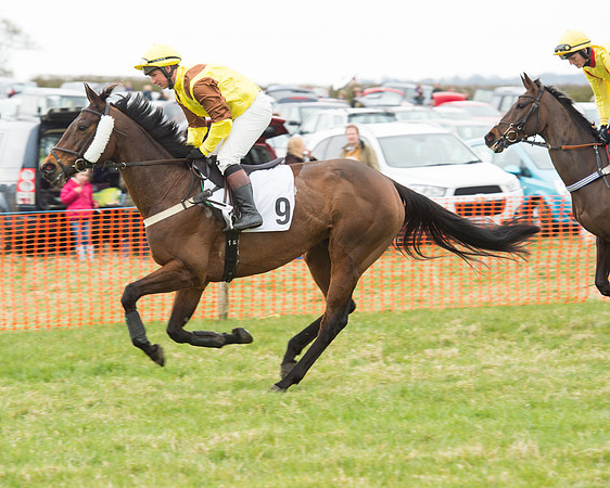 Race 5 - Open Maiden (32 of 190).jpg