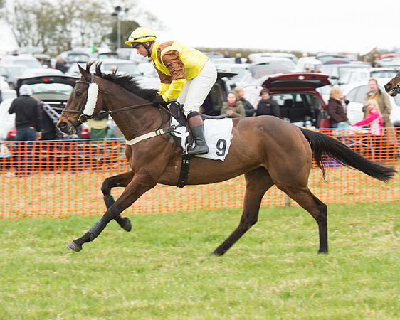 Race 5 - Open Maiden (33 of 190).jpg