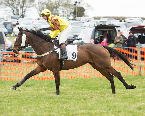 Race 5 - Open Maiden (34 of 190).jpg