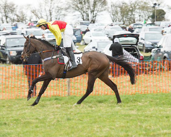 Race 5 - Open Maiden (35 of 190).jpg