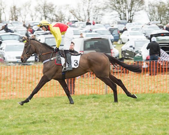 Race 5 - Open Maiden (36 of 190).jpg
