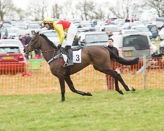 Race 5 - Open Maiden (37 of 190).jpg