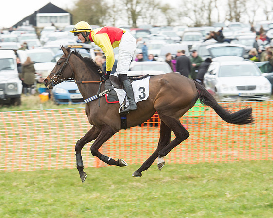 Race 5 - Open Maiden (38 of 190).jpg
