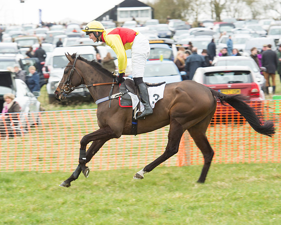 Race 5 - Open Maiden (39 of 190).jpg
