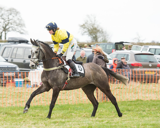 Race 5 - Open Maiden (41 of 190).jpg
