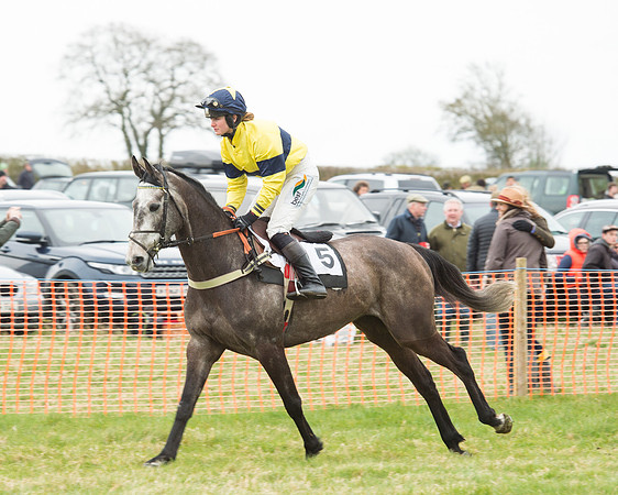 Race 5 - Open Maiden (42 of 190).jpg