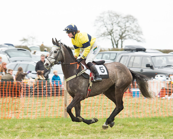 Race 5 - Open Maiden (44 of 190).jpg
