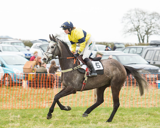 Race 5 - Open Maiden (45 of 190).jpg