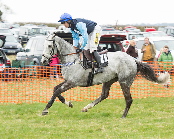 Race 5 - Open Maiden (47 of 190).jpg