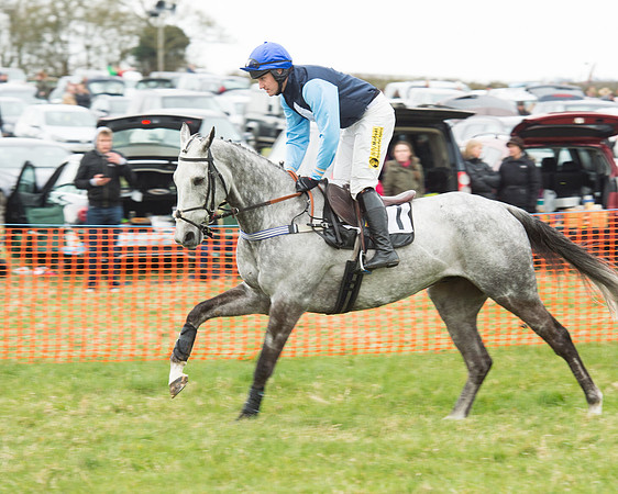 Race 5 - Open Maiden (48 of 190).jpg