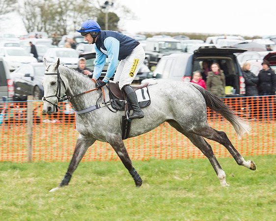 Race 5 - Open Maiden (49 of 190).jpg