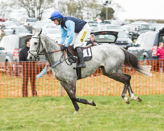 Race 5 - Open Maiden (50 of 190).jpg
