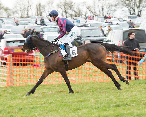 Race 5 - Open Maiden (51 of 190).jpg