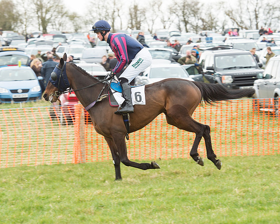 Race 5 - Open Maiden (52 of 190).jpg