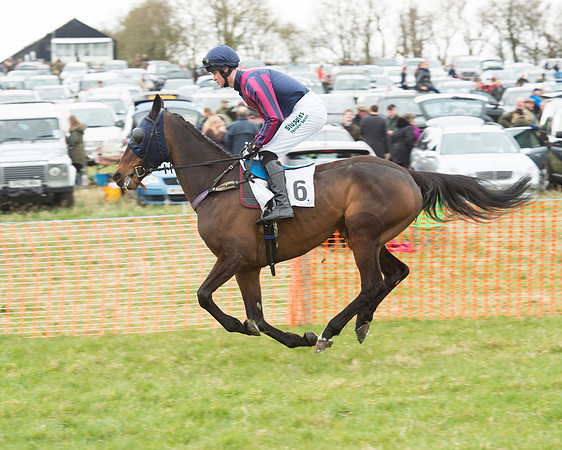Race 5 - Open Maiden (53 of 190).jpg
