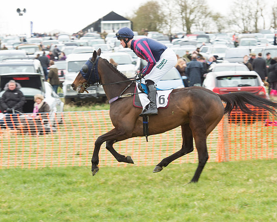 Race 5 - Open Maiden (54 of 190).jpg